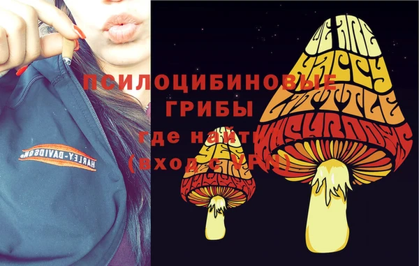 COCAINE Краснослободск