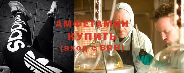 шишки Корсаков