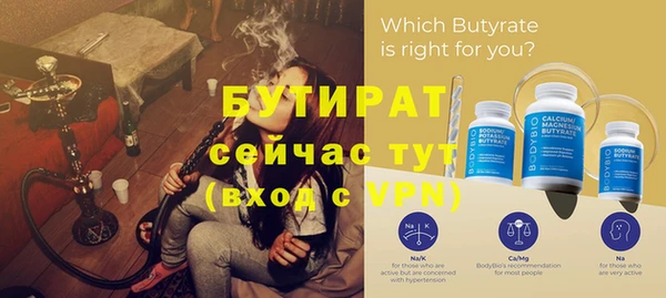 шишки Корсаков