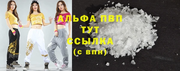 шишки Корсаков